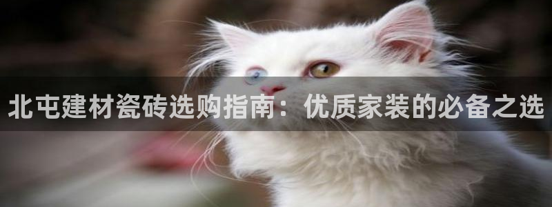 杏鑫平台登录地址在哪