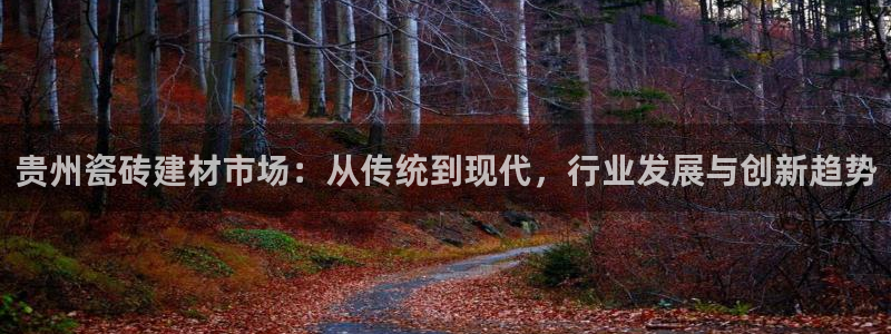 杏鑫官网最新信息