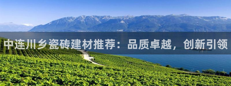 杏鑫手机客户端怎么下载