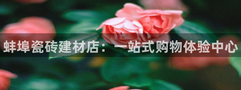 杏鑫平台代理注册多少钱啊