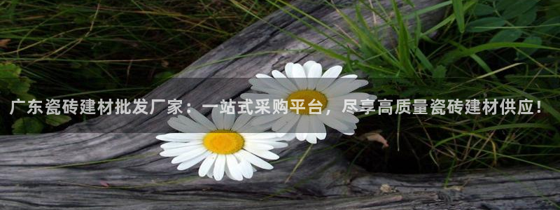 杏鑫平台代理注册流程及费用